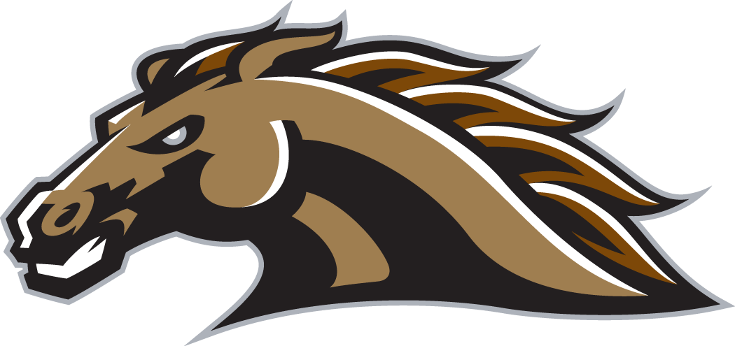 Western Michigan Broncos 1998-Pres Secondary Logo iron on transfers for clothing